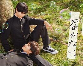 哈尔滨企业网站优化